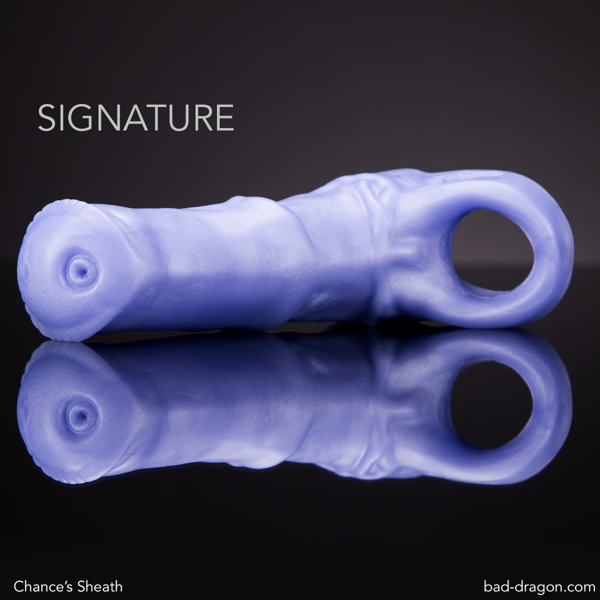Chance's Sheath Bad Dragon.